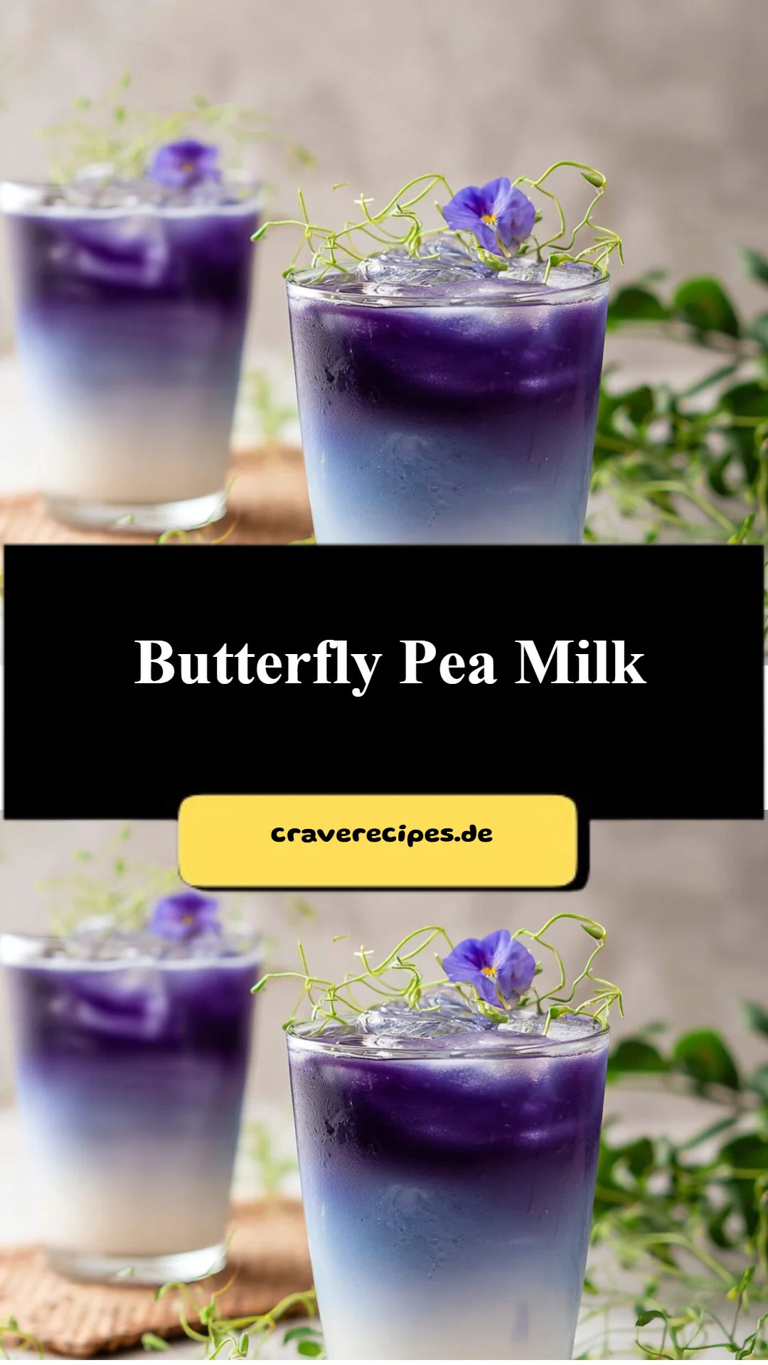 Butterfly Pea Milk