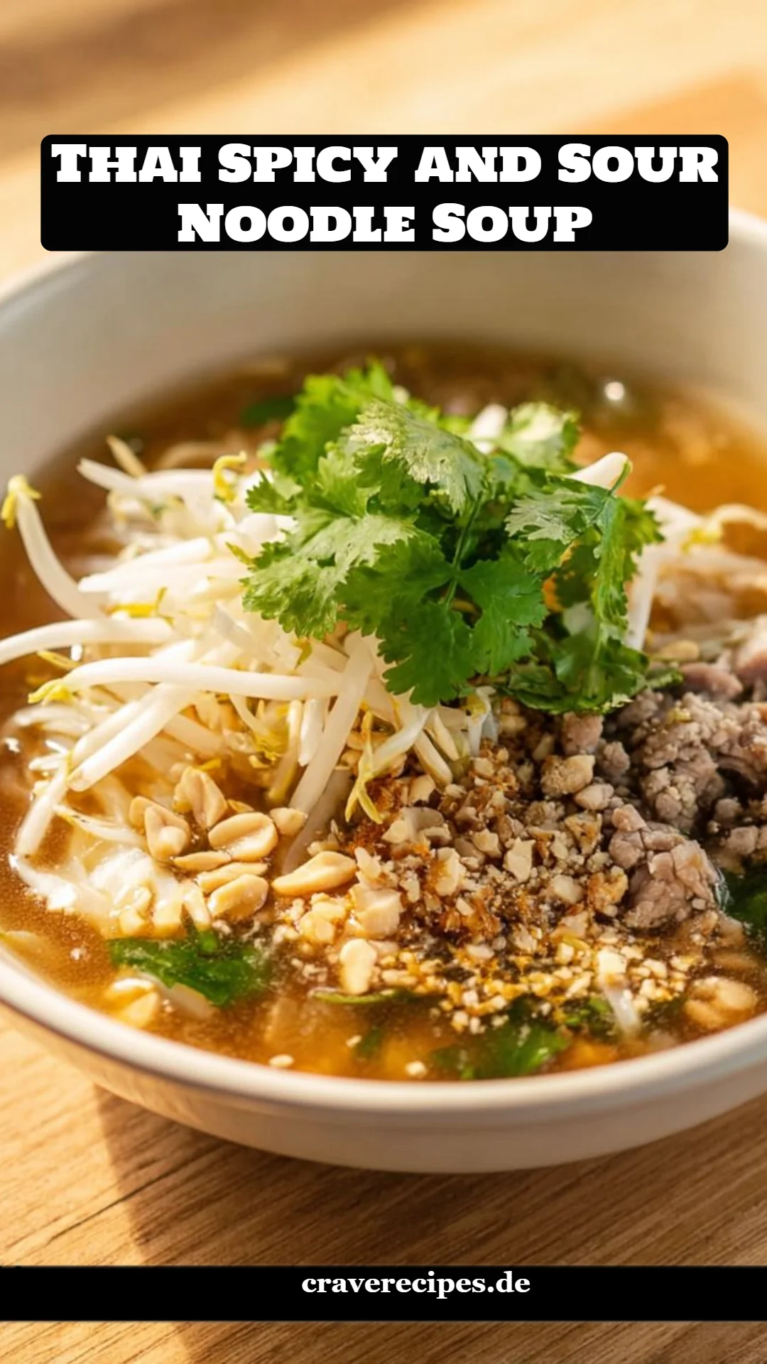 Thai Spicy and Sour Noodle Soup